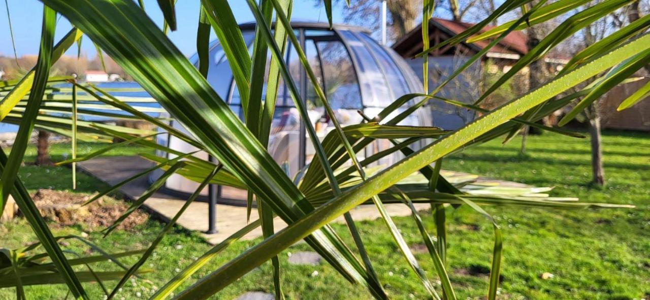 Le Dome Du Lac Ardres Exterior photo